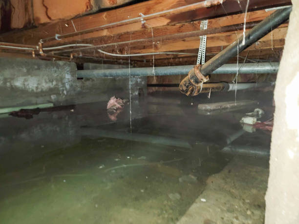 Water damage restoration insurance claims in TX