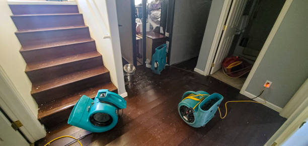 Best Water damage cleanup near me  in Jarrell, TX