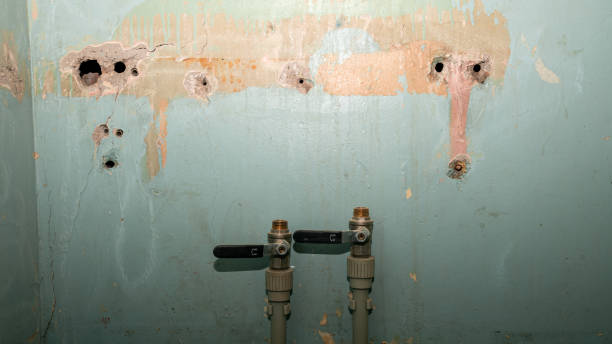 Best Flood restoration services  in Jarrell, TX