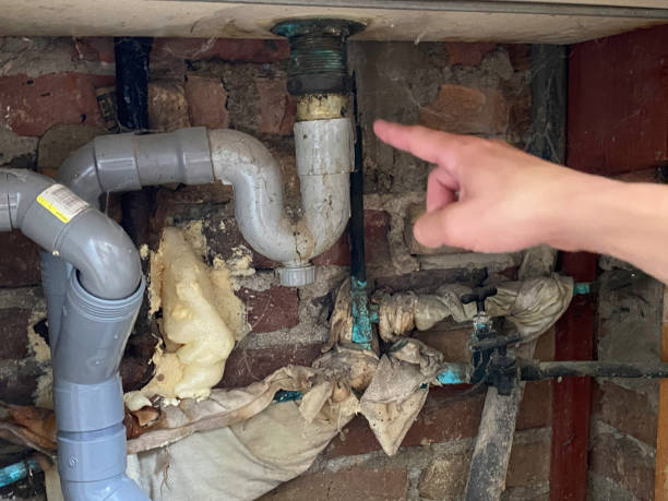 Best Carpet water damage restoration  in Jarrell, TX