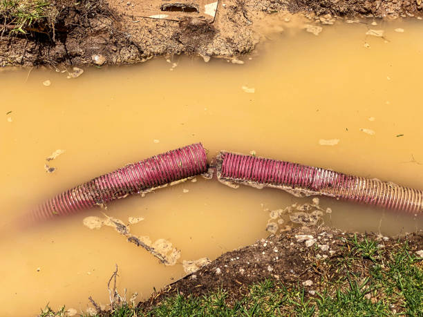 Best Sewage cleanup and water damage restoration  in Jarrell, TX